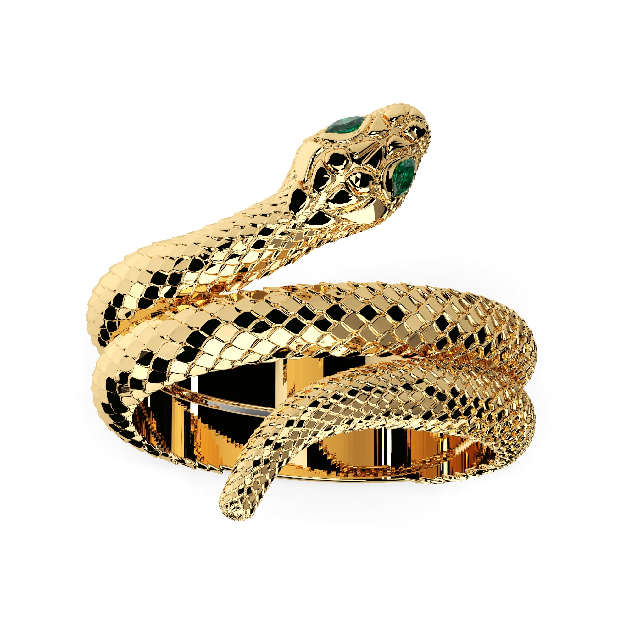 Ring Schlange